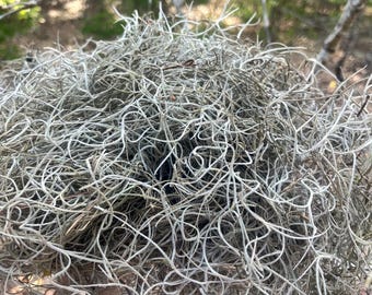 Musgo español natural para manualidades, terrarios, coronas, jardines de hadas y decoración rústica.