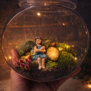 DIY Moss Terrarium Kit – Fairy Garden with Live Moss, Plastic Orb Container