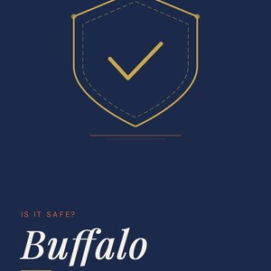 May include: A dark blue informational guide titled GoingSolo.Life Safety Guide Series. The cover features a gold shield icon with a checkmark, the text IS IT SAFE? Buffalo, SOLO TRAVELER SAFETY GUIDE, TRAVEL ALONE. LIVE FULLY. and goingsolo.life.
