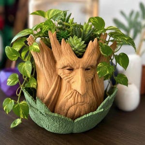 Forest Elder Planter with Drain Tray, Fantasy Succulent Pot, Woodland Book Nook Decor