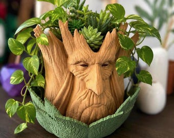Forest Elder Planter with Drain Tray, Fantasy Succulent Pot, Woodland Book Nook Decor