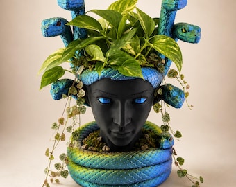 Medusa Decorative Indoor Planter, Greek Mythology Plant Pot, Premium Snake Goddess Decor, Fantasy Bookshelf Decor, Gothic Gift