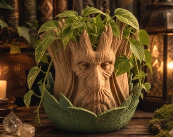 Forest Elder Indoor Planter | Fantasy Succulent Pot with Drain Tray | Woodland Decor | Book Nook Plant Pot | Elven Home Gift