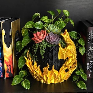 Golden Fire Dragon Egg Planter, Fantasy Dragon Planter, Large Succulent Planter, Dragon Lover Gift, Bookshelf Decor, Indoor Plant Pot