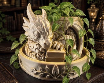 Sleeping Book Dragon Planter, Fantasy Dragon Planter, Book Nook Decor, Indoor Succulent Pot, Dragon Lover Gift, Bookshelf Decor