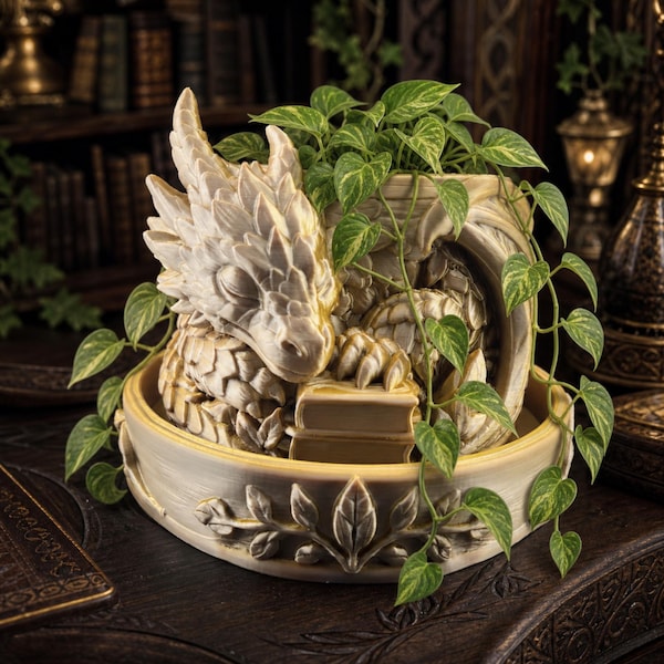 Sleeping Book Dragon Planter, Fantasy Dragon Planter, Book Nook Decor, Indoor Succulent Pot, Dragon Lover Gift, Bookshelf Decor