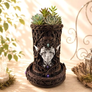 Vaso per piante grasse "Regina della Foresta Elfica", vaso fantasy con sottovaso, decorazione per angolo lettura, vaso per piante da interno, regalo per lettori