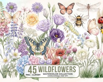 Wildflowers Watercolor Clipart, Floral PNG Set (Digital Download)