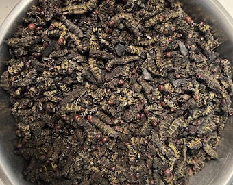 Dried Mbinzo Caterpillars – High Protein African Snack, Natural Superfood (100g)