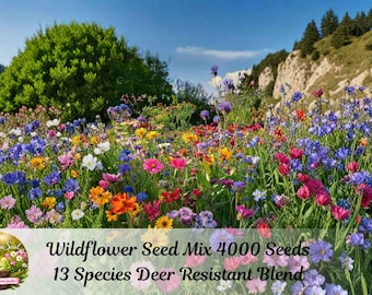 May include: A vibrant meadow of multicolored wildflowers including blue, pink, yellow, orange, and white blossoms. Text overlay reads: Wildflower Seed Mix 4000 Seeds 13 Species Deer Resistant Blend, with a circular logo in the corner.