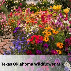 2000 Texas Oklahoma Wildflower Seeds | 14 Native Species, Easy Grow Garden Flowers, Pollinator Friendly