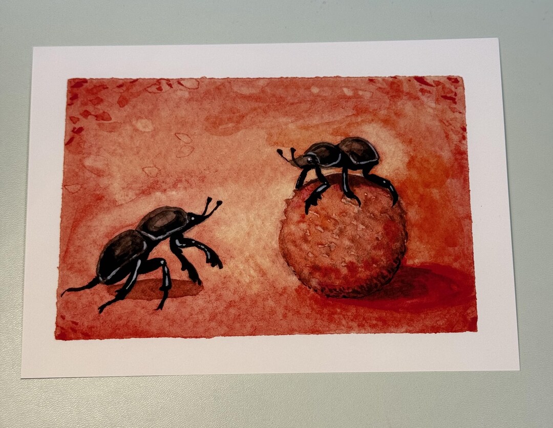 5x7 Art Print - Dung Beetles - Cute Insect Bug Wall Art - Small Art ...
