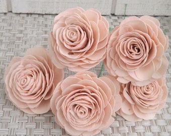 Blush Pink Sola Flowers, Beauty Rose, With Stems, Stemmed, DIY Bride, Wired Sola Wood Flowers, Raw, Large Roses, Set of 5