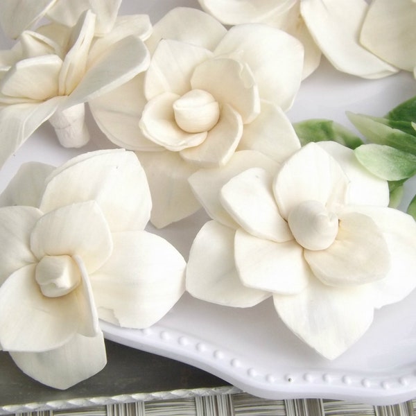 Sola Wood Flowers, Sola Lily Flower, 2", 6cm Natural Ivory Sola Flower Set of 5 or 10 DIY Bouquet Flower Loose or With Stems