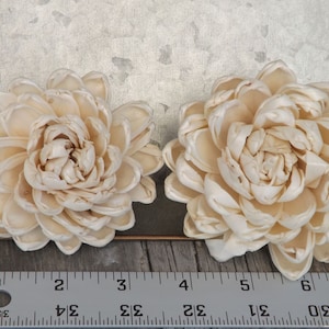 Sola Wood Flower Lotus Set of 5 Water Lily/Lotus Natural Raw Sola