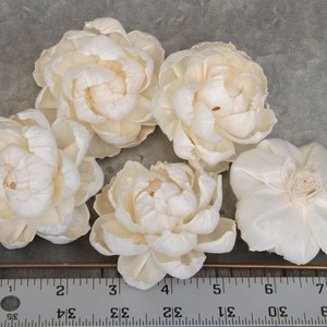 Sola Flower Peony Flower Set of 5 Natural Flowers DIY Bride image 2