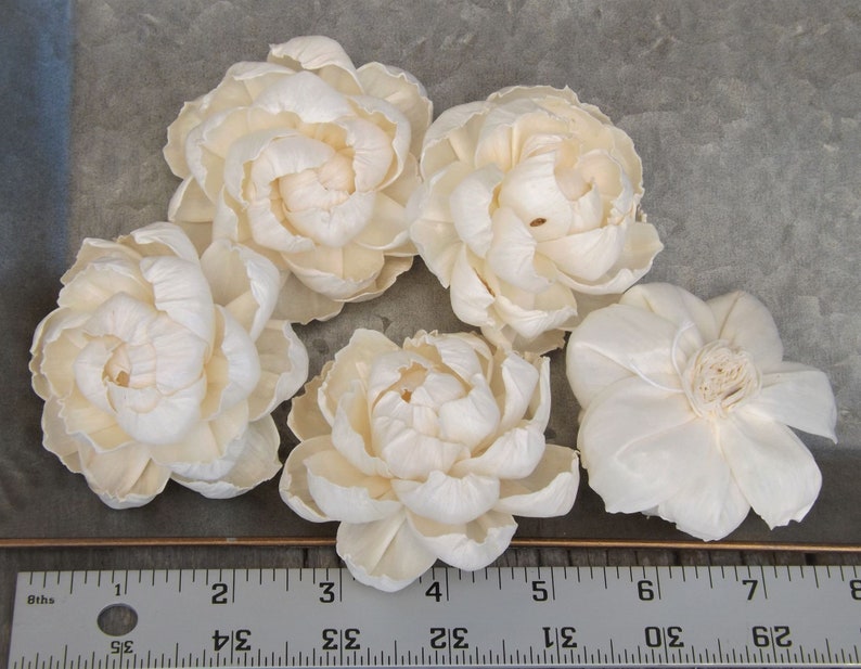 Sola Flower Peony Flower Set of 5 Natural Flowers DIY Bride image 2