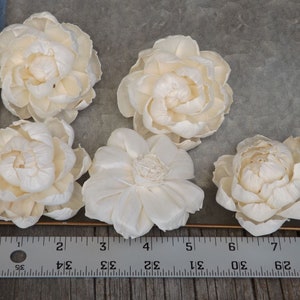 Sola Flower Peony Flower Set of 5 Natural Flowers DIY Bride image 4