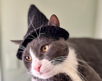 Made to Order - Witchy Cat Hat - Simple Pet Costume Cosplay