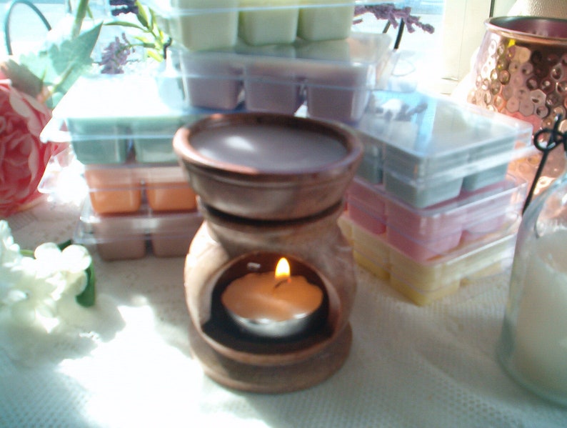 Pine Clean Refreshing Wax Melts Soy Wax Melts Winter wax Melts Fresh Evergreen Wax Melts Aromatic Rich Woods /& Cedar A Best Seller