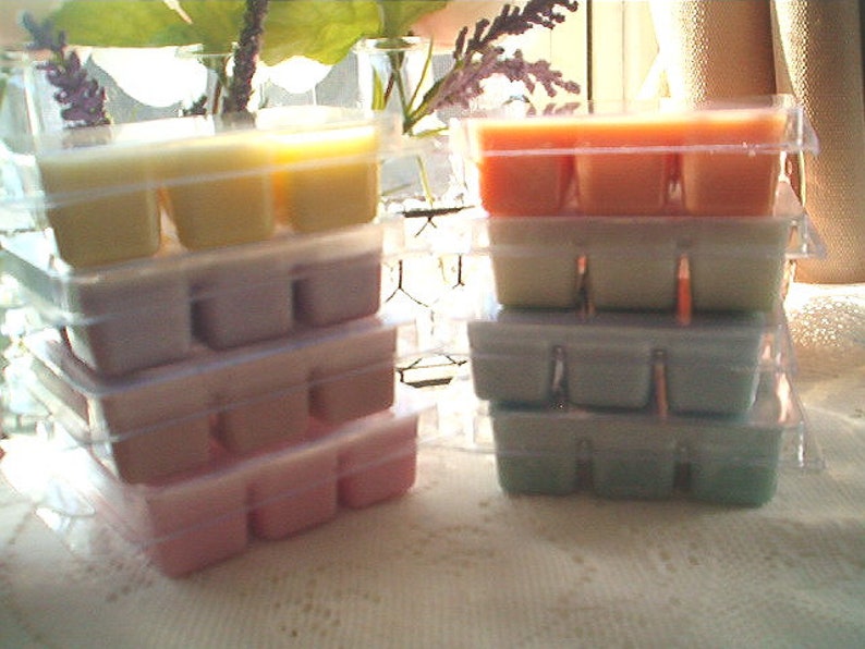 Pine Clean Refreshing Wax Melts Soy Wax Melts Winter wax Melts Fresh Evergreen Wax Melts Aromatic Rich Woods /& Cedar A Best Seller