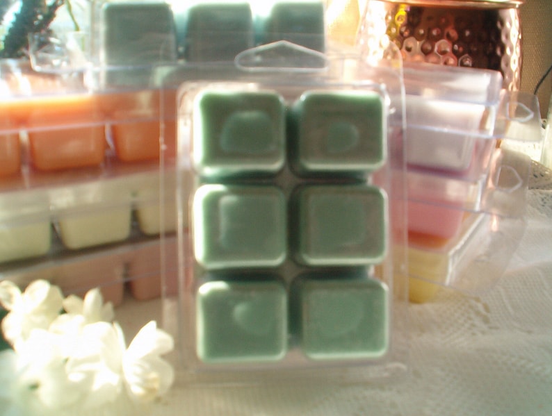 Pine Clean Refreshing Wax Melts Soy Wax Melts Winter wax Melts Fresh Evergreen Wax Melts Aromatic Rich Woods /& Cedar A Best Seller