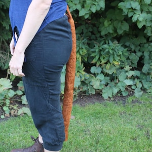 Brown Cat Tail
