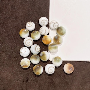 Könnte beinhalten: Eine Sammlung runder, glatter Shiva-Auge-Muschelperlen. Jede Perle weist auf einer Seite ein natürliches Spiralmuster auf, wobei die Farbvariationen von Cremeweiß bis hin zu verschiedenen Braun-, Beige- und sanften Grüntönen reichen.