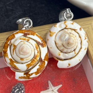 May include: Two spiral seashell pendants featuring silver-toned metal bails. The left shell displays a prominent brown and white striped pattern, while the right shell is primarily white with subtle tan accents. Both shells have a smooth, polished finish.