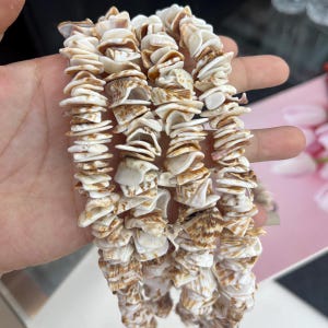 Puede incluir: Un collar de pequeñas cuentas de conchas marinas planas e irregulares en tonos blanco, crema y marrón claro. Las conchas están ensartadas en una disposición densa y superpuesta, mostrando variaciones naturales en color, textura y forma.
