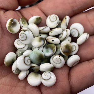 Naturliga snäckpärlor 10 mm för smyckestillverkning DIY halsband örhängen tillbehör grossist
