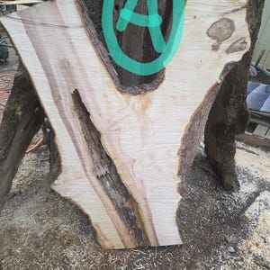 Pode incluir: Uma grande laje de madeira de formato irregular com borda natural. A madeira apresenta listras marrons claras e escuras e uma ranhura central profunda. A laje é provavelmente uma matéria-prima para projetos de marcenaria.