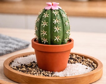 Kaktus Salz und Pfeffer Streuer Set | Grillen | BBQ | Geschenkidee | Einzugsgeschenk