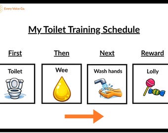 May include: A colorful "My Toilet Training Schedule" chart. It features a toilet, a drop of urine, washing hands, and a lollipop, with the words "First," "Then," "Next," and "Reward."