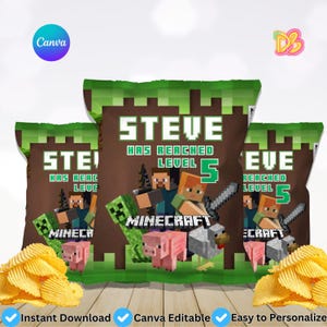 May include: Three custom Minecraft-themed chip bags with the name "Steve" and "Eve" on them. The bags feature pixelated characters, the number 5, and the word "Minecraft". The bags are brown with green and white accents.