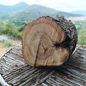 Gran sección de tronco de madera de olivo natural – Bloque de madera con borde natural para torneado y escultura – Tronco de olivo mediterráneo en bruto – Material para manualidades