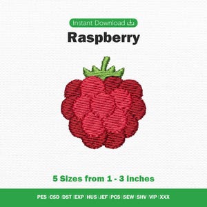 Könnte beinhalten: Eine Stickdatei mit einer roten Himbeere mit grünem Stiel. Der Text lautet Instant Download, Raspberry und 5 Sizes from 1 - 3 inches. Unten sind die Dateiformate PES, CSD, DST, EXP, HUS, JEF, PCS, SEW, SHV, VIP und XXX aufgeführt.