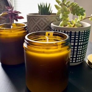 Collection # 1 - Walking on Sunshine (Citrus)