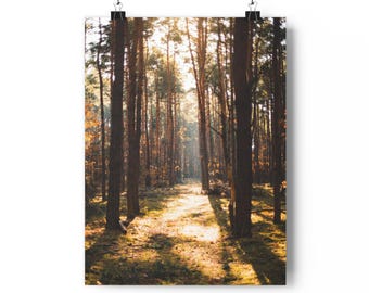 Muurprint van een zonnig dennenbos