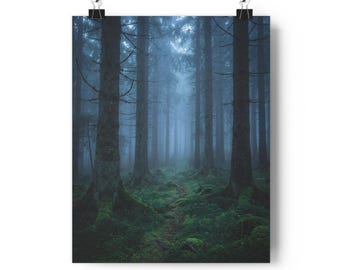 Muurprint van een mistig dennenbos