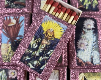 5 Cactus Suculents Matchbox Set rosa rosa Favores de boda