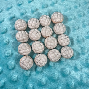 Set di 4 polimeri argilla argilla bianco Concha Pan Dulce ALL CLAY