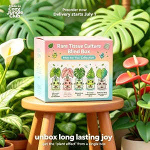 May include: A square cardboard box with a pastel gradient background featuring the text Rare Tissue Culture Blind Box Mint for You Collection. The box displays five illustrated plant characters in glass jars with labels for each plant type.