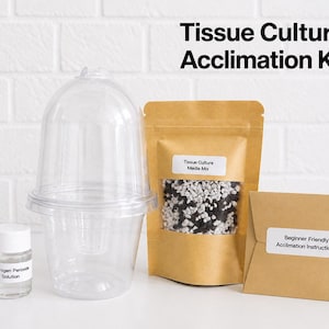 May include: A Tissue Culture Acclimation Kit containing a clear plastic dome propagator, a small bottle labelled Hydrogen Peroxide Solution, a brown pouch labelled Tissue Culture Media Mix, and a brown envelope labelled Beginner Friendly Acclimation Instructions.