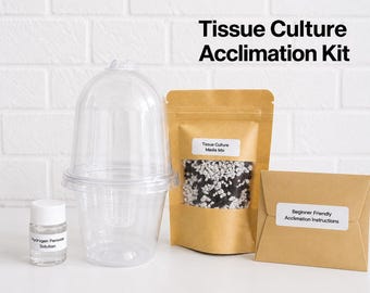 Kit d'acclimatation pour culture in vitro avec pot à arrosage automatique et dôme d'humidité - Idéal pour les débutants - Kit de démarrage pour plantes