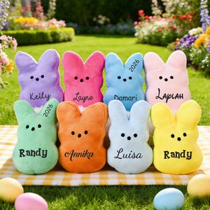 May include: A collection of colorful plush bunny toys in purple, pink, blue, light pink, green, orange, light blue, and yellow. Each bunny has a name embroidered on it, with some also featuring the year "2026". The bunnies are arranged on a yellow and white checkered blanket.