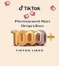 1000+ TikTok Likes | Boost Engagement & Profile Visibility | Tiktok Overlay | Increase Exposure product logo