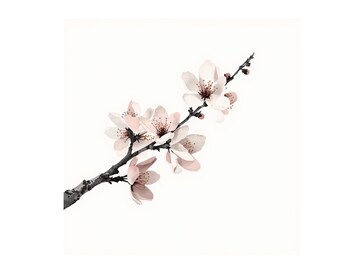 Minimal Ink Sakura Backgrounds, Japanese Sumi-e Cherry Blossom, Watercolor Texture (Digital Download)