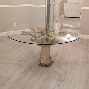 May include: A round glass-top table with a unique base made from a natural, light-colored tree root. The table is set in a room with light-colored walls and flooring, creating a neutral and organic aesthetic.