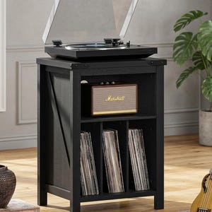 May include: Black wooden record player stand with a built-in shelf for vinyl records and a Marshall speaker. The turntable has a clear dust cover. A guitar and a potted plant are in the background.